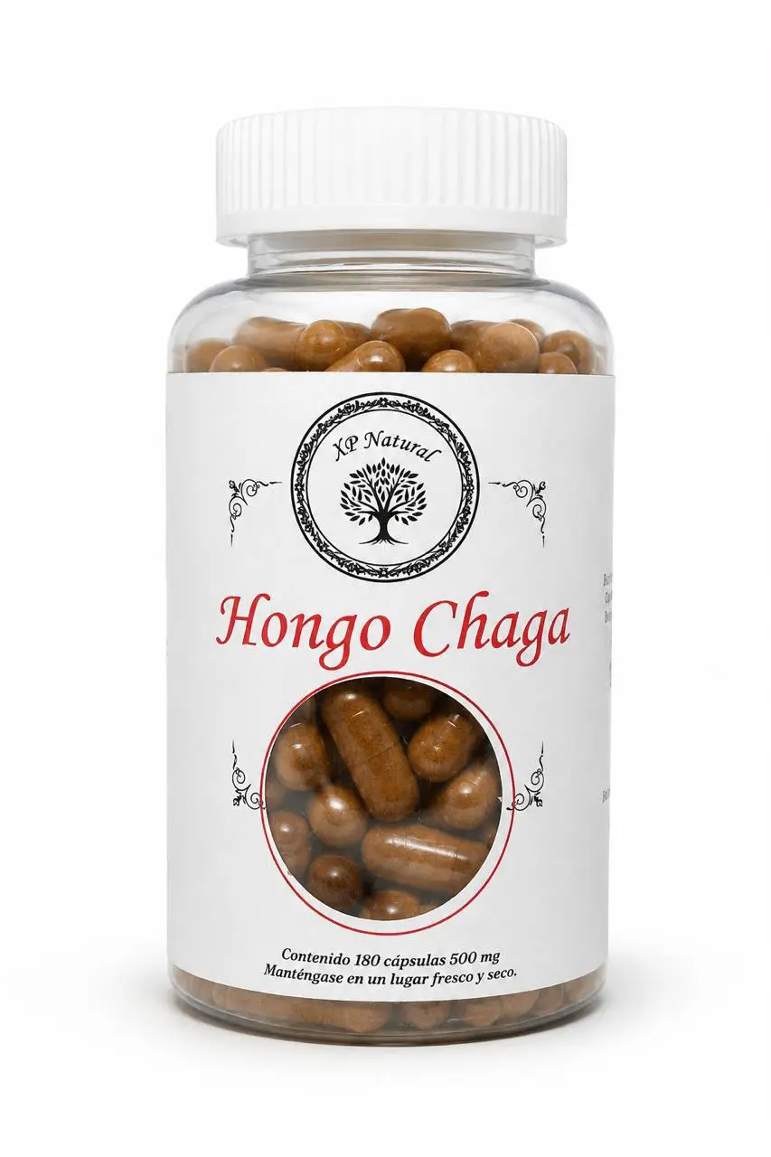 Frasco de hongo chaga en cápsulas antioxidantes premium de la marca XP Natural